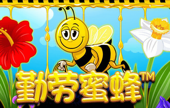 龙8体育平台官网